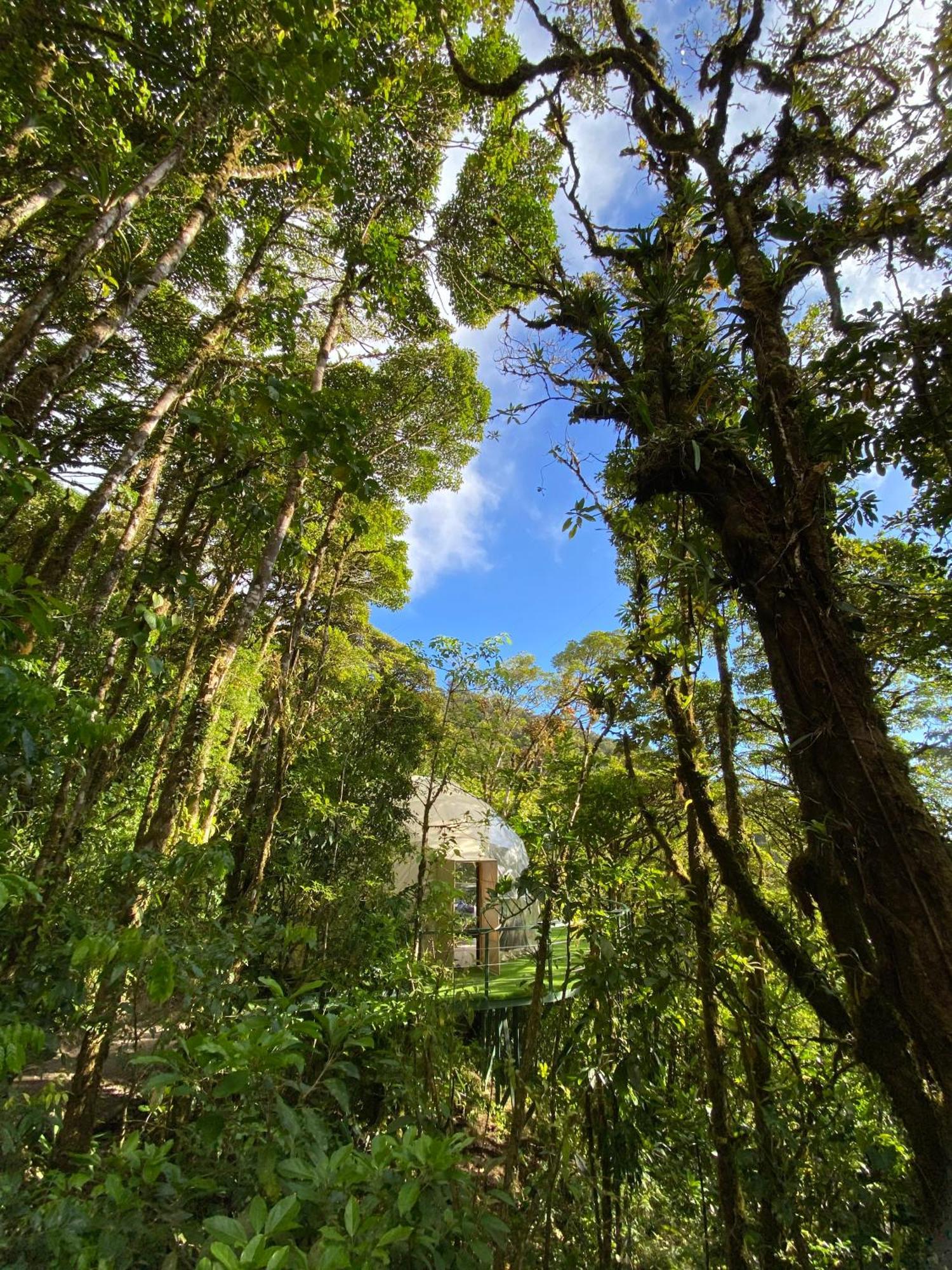 Way To Heaven Glamping 호텔 Monteverde 외부 사진