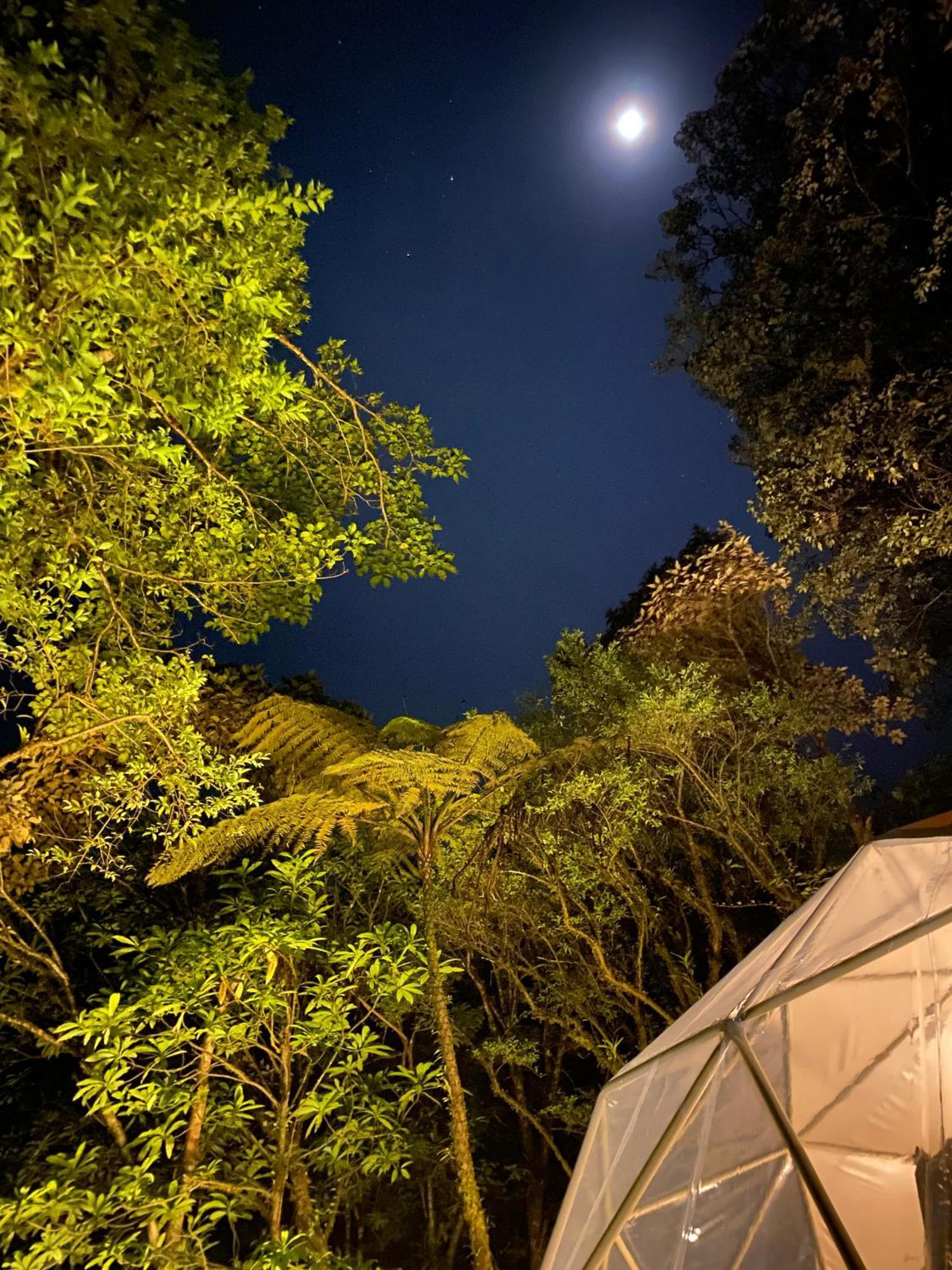 Way To Heaven Glamping 호텔 Monteverde 외부 사진